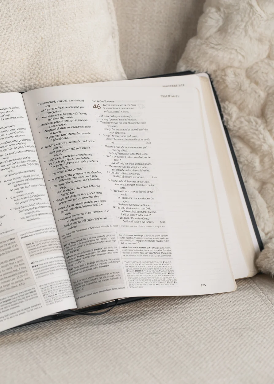 Satisfied ESV Journaling Study Bible Accessory